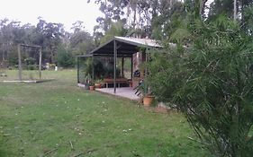 Snowy River Lodge Motel